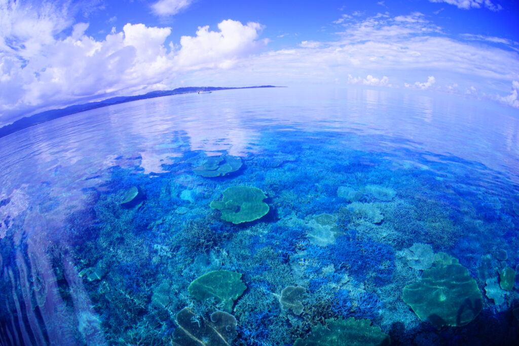 Ocean near by Ishigaki, Yaeyama