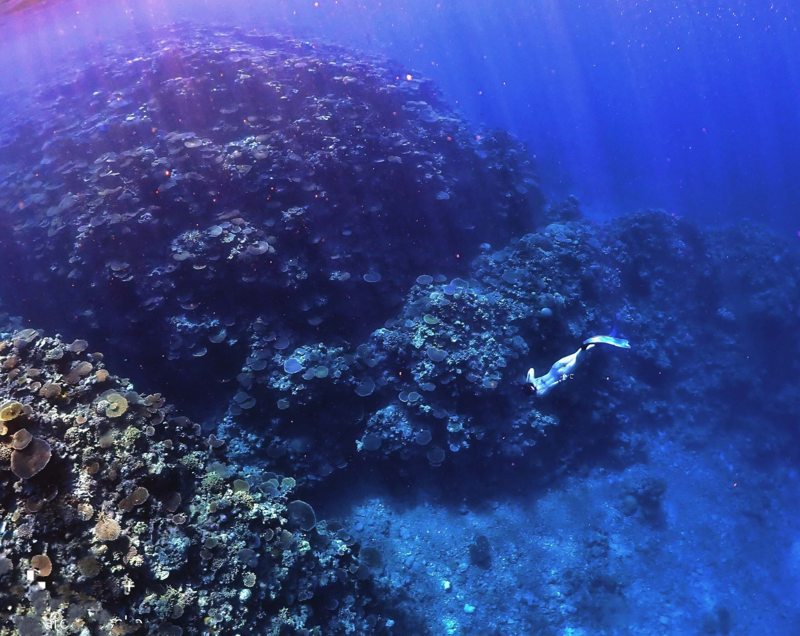 woman snorkeling in iriomote