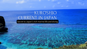 Deep blue of Kuroshio current in Japan