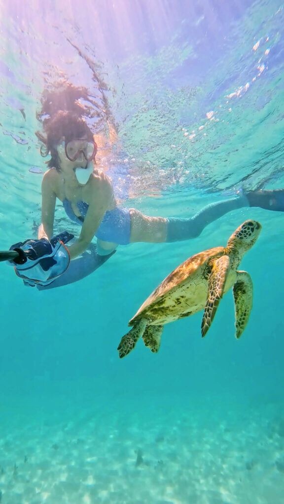 woman snorkeling with a turtle in okinawa