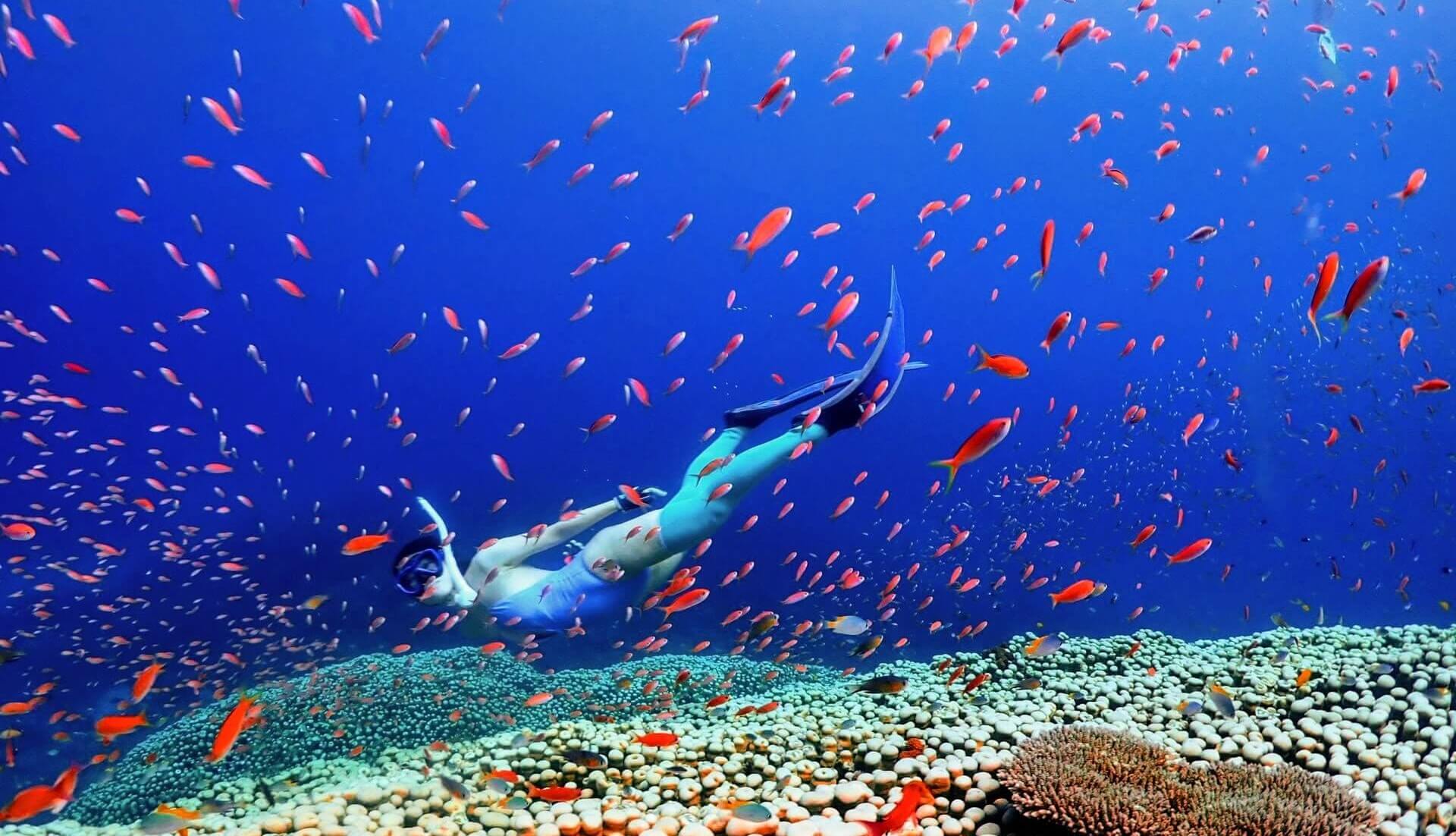 woman freediving in Iriomote