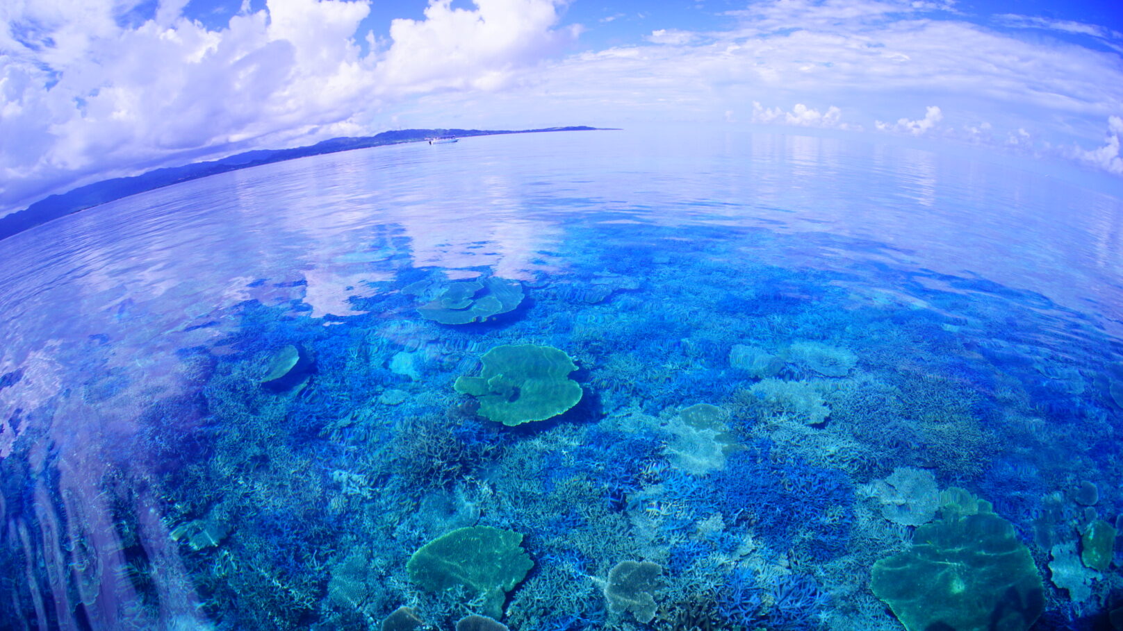 Snorkeling at a coral garden in Hatoma, near Ishigaki Island