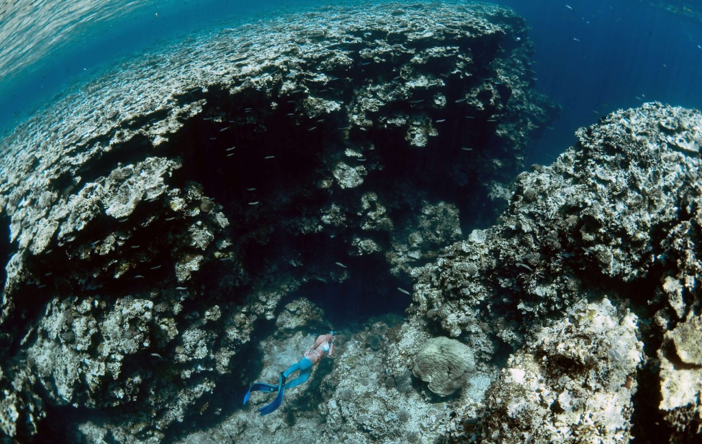 woman snorkeling at a beach in Ishigaki with a safely guided tour